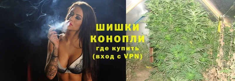 Бошки Шишки White Widow  сколько стоит  Невинномысск 